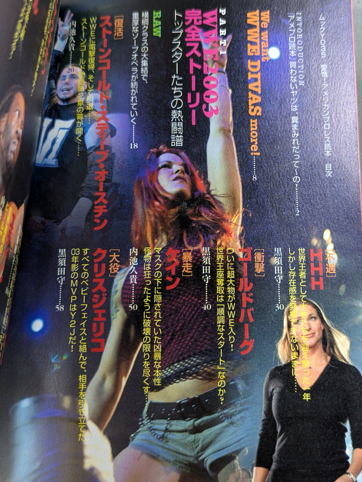 愛憎!アメリカンプロレス読本 ライバルが家族がいま雌雄を決す!