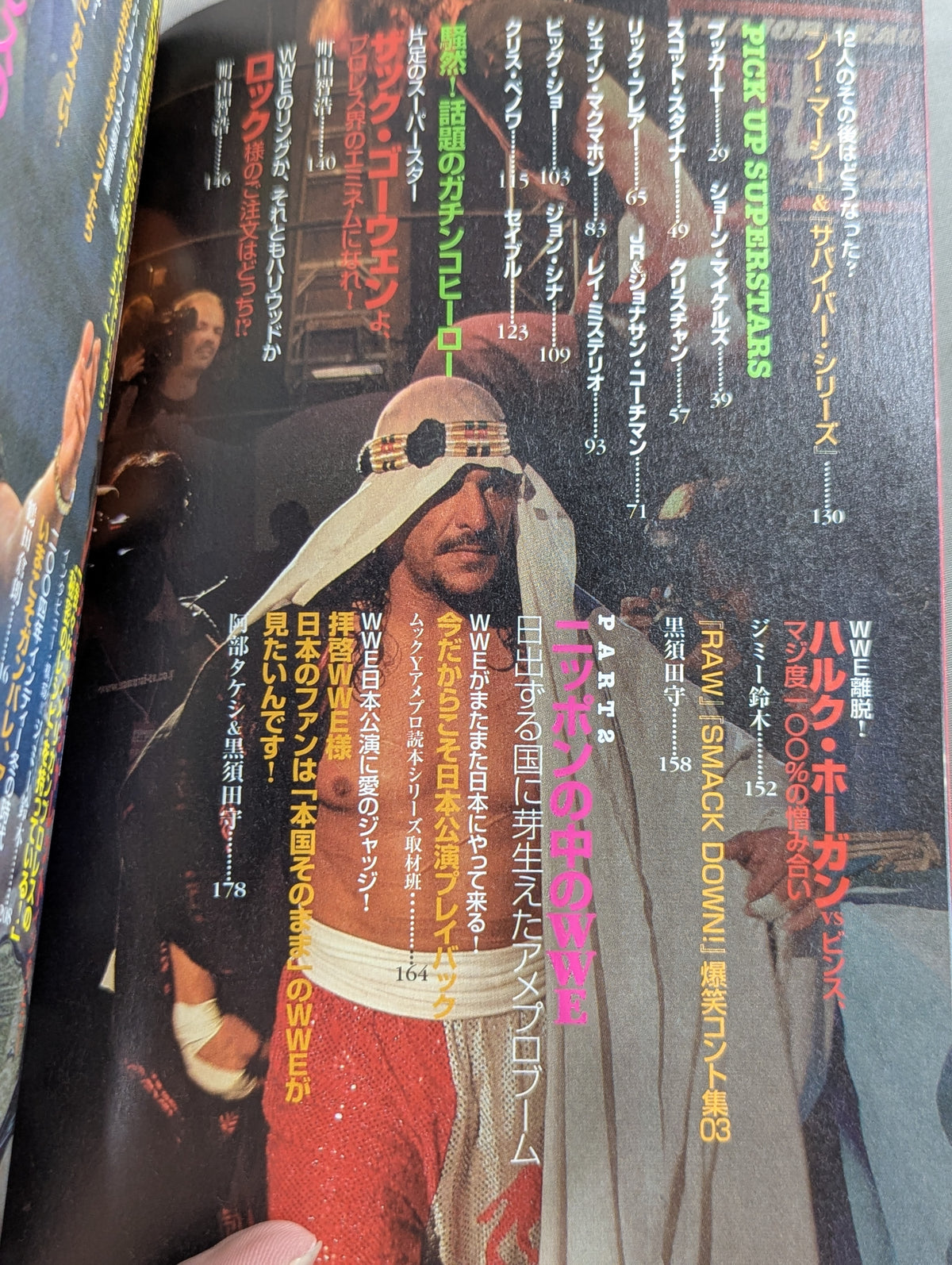 愛憎!アメリカンプロレス読本 ライバルが家族がいま雌雄を決す!