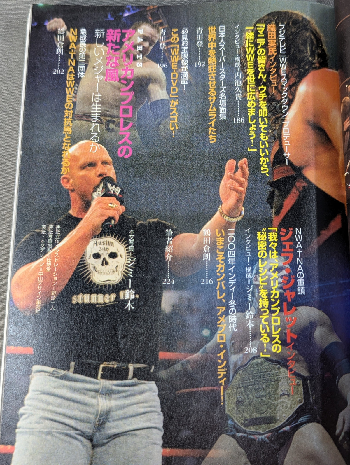 愛憎!アメリカンプロレス読本 ライバルが家族がいま雌雄を決す!