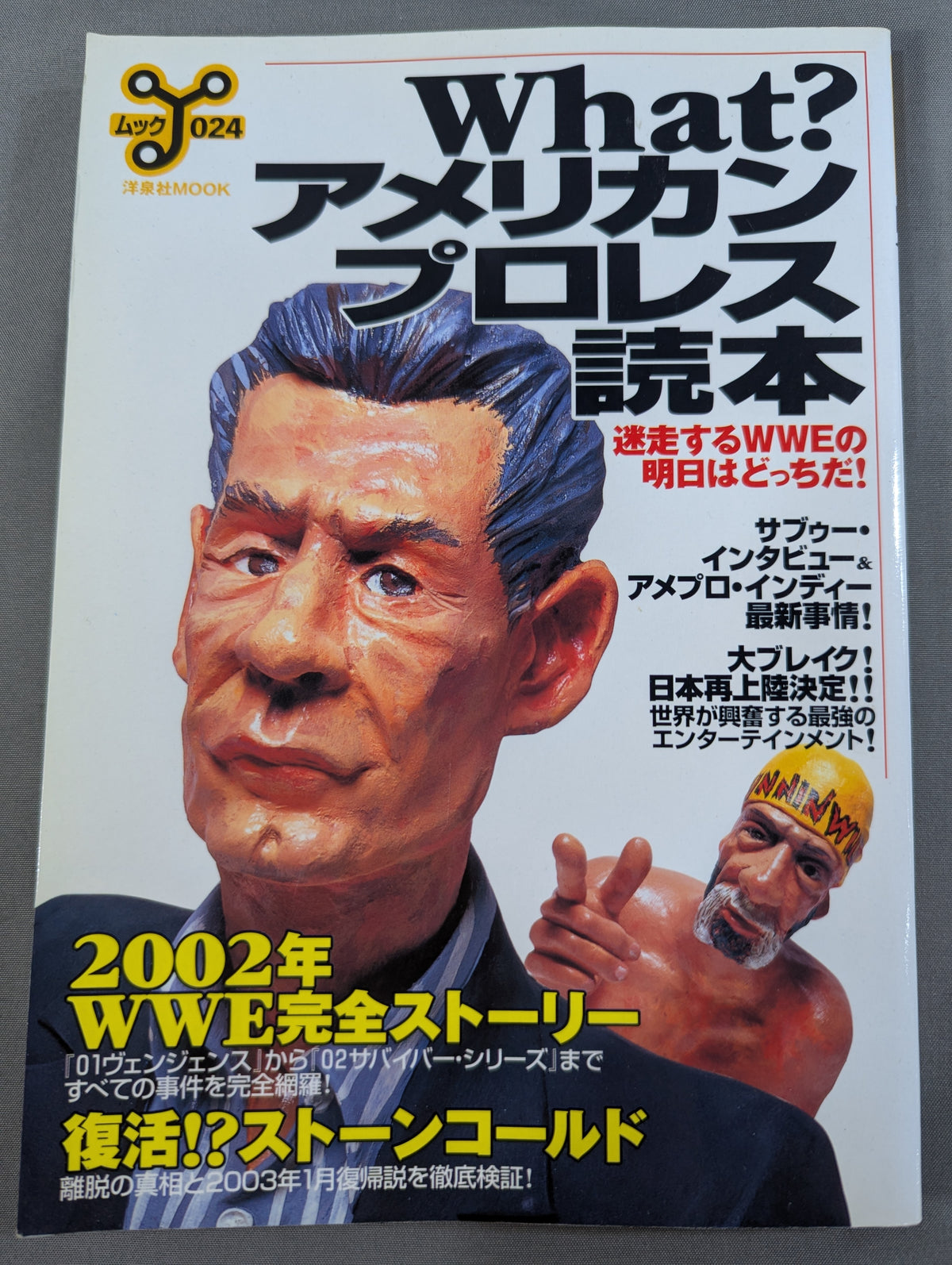 What? American Pro Wrestling Reader: Where Will WWE Become Tomorrow in the Lost Future?
