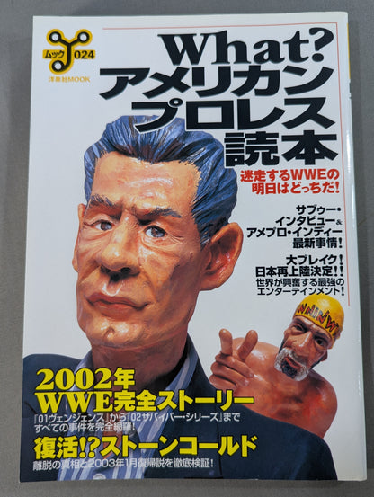 What? American Pro Wrestling Reader: Where Will WWE Become Tomorrow in the Lost Future?
