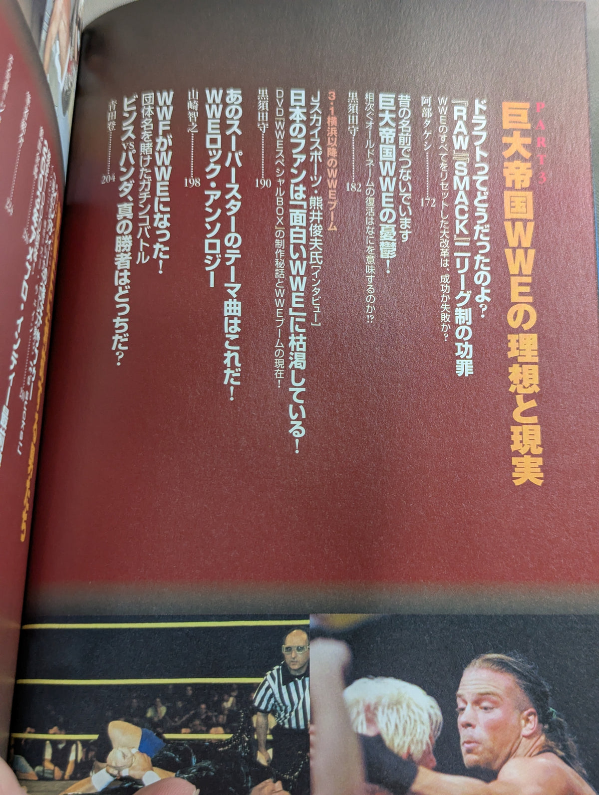 What? American Pro Wrestling Reader: Where Will WWE Become Tomorrow in the Lost Future?