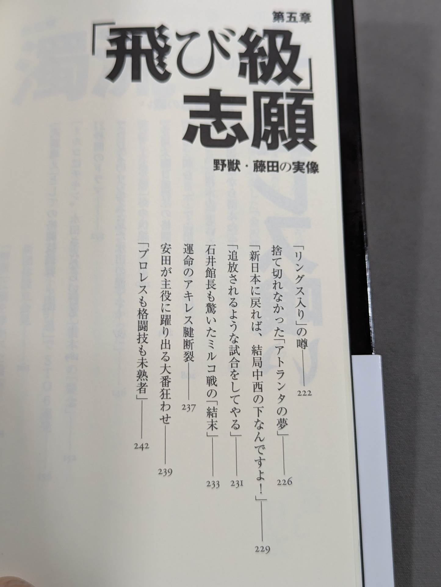 Infanticide with Inoki Ten Years' War in New Japan Pro Wrestling