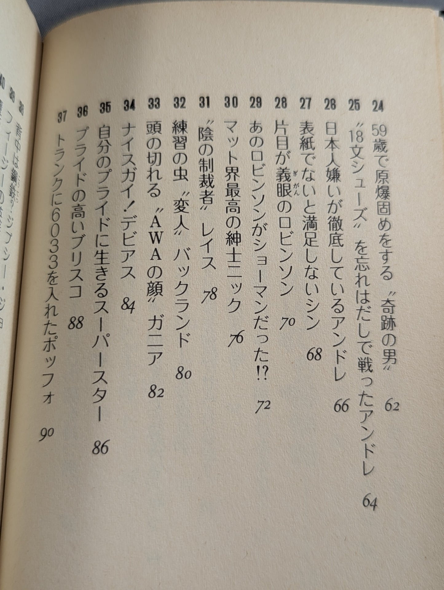 豆たぬきの本166  プロレスなんでも博士