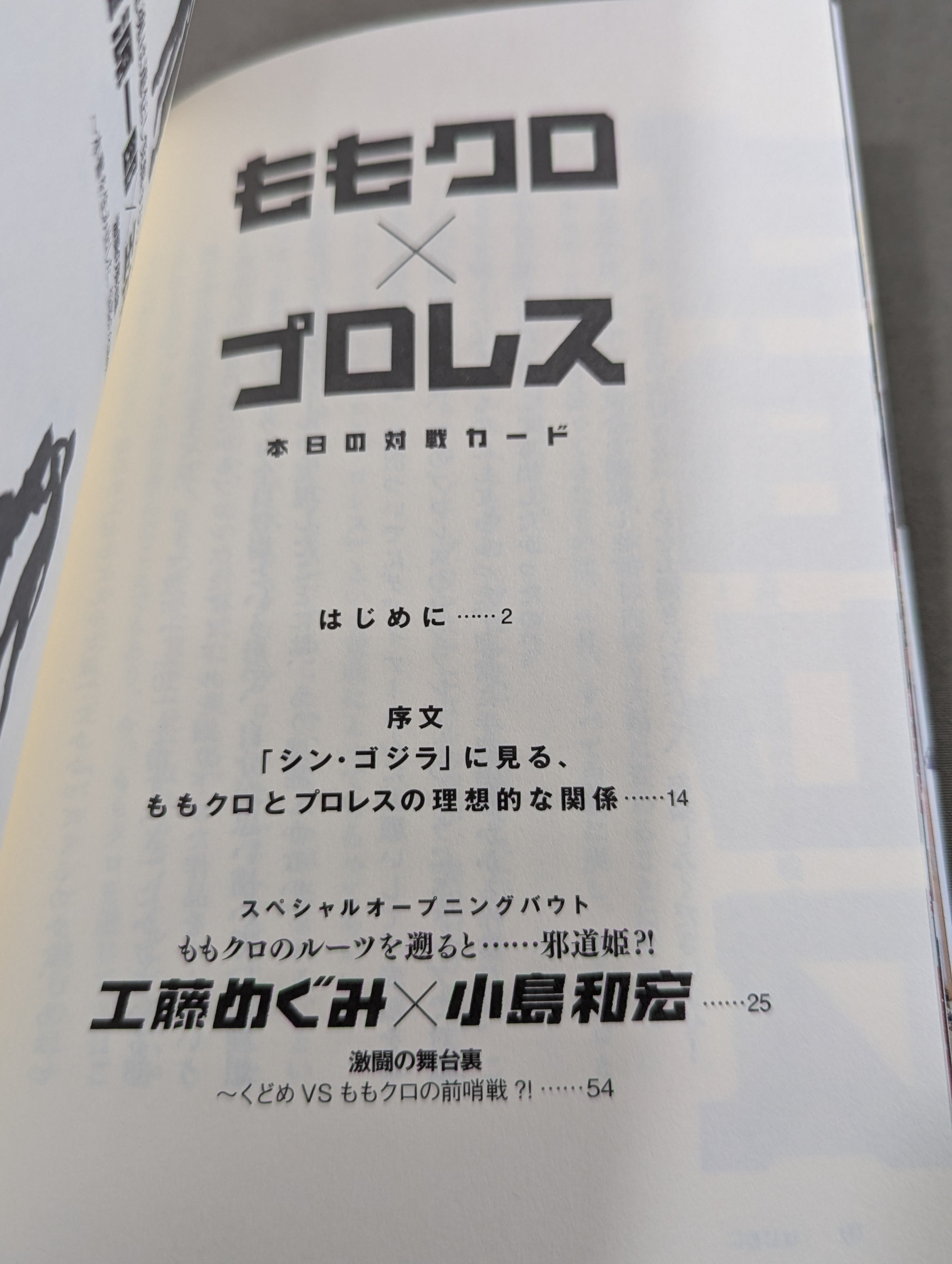 岩谷麻優 直筆サイン入り】ももクロ×プロレス – 闘道館