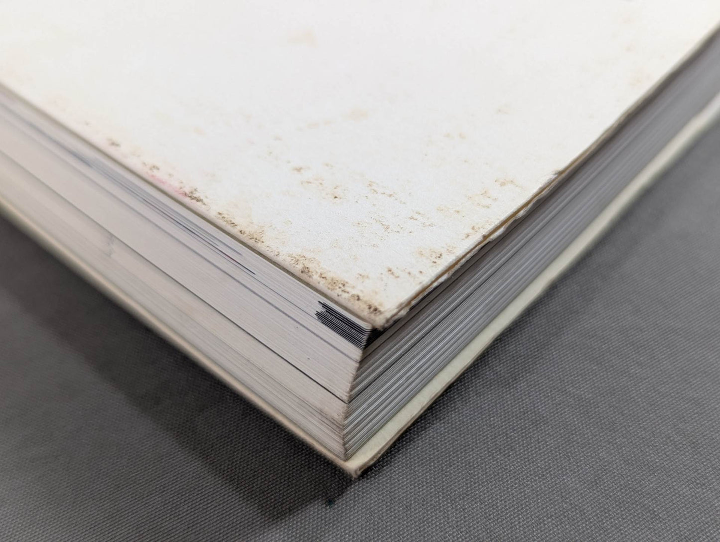 1000のプロレスレコードを持つ男