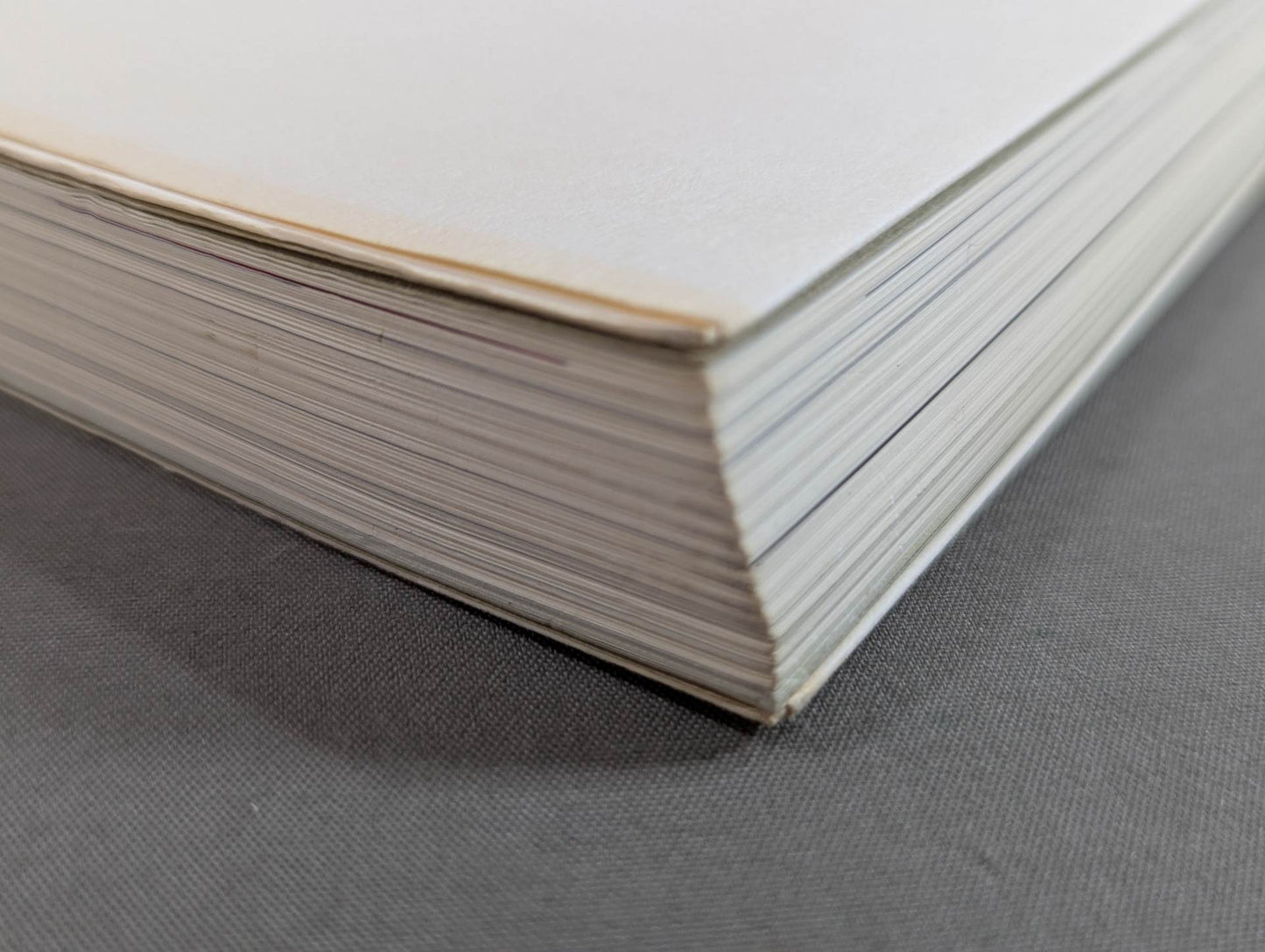 1000のプロレスレコードを持つ男