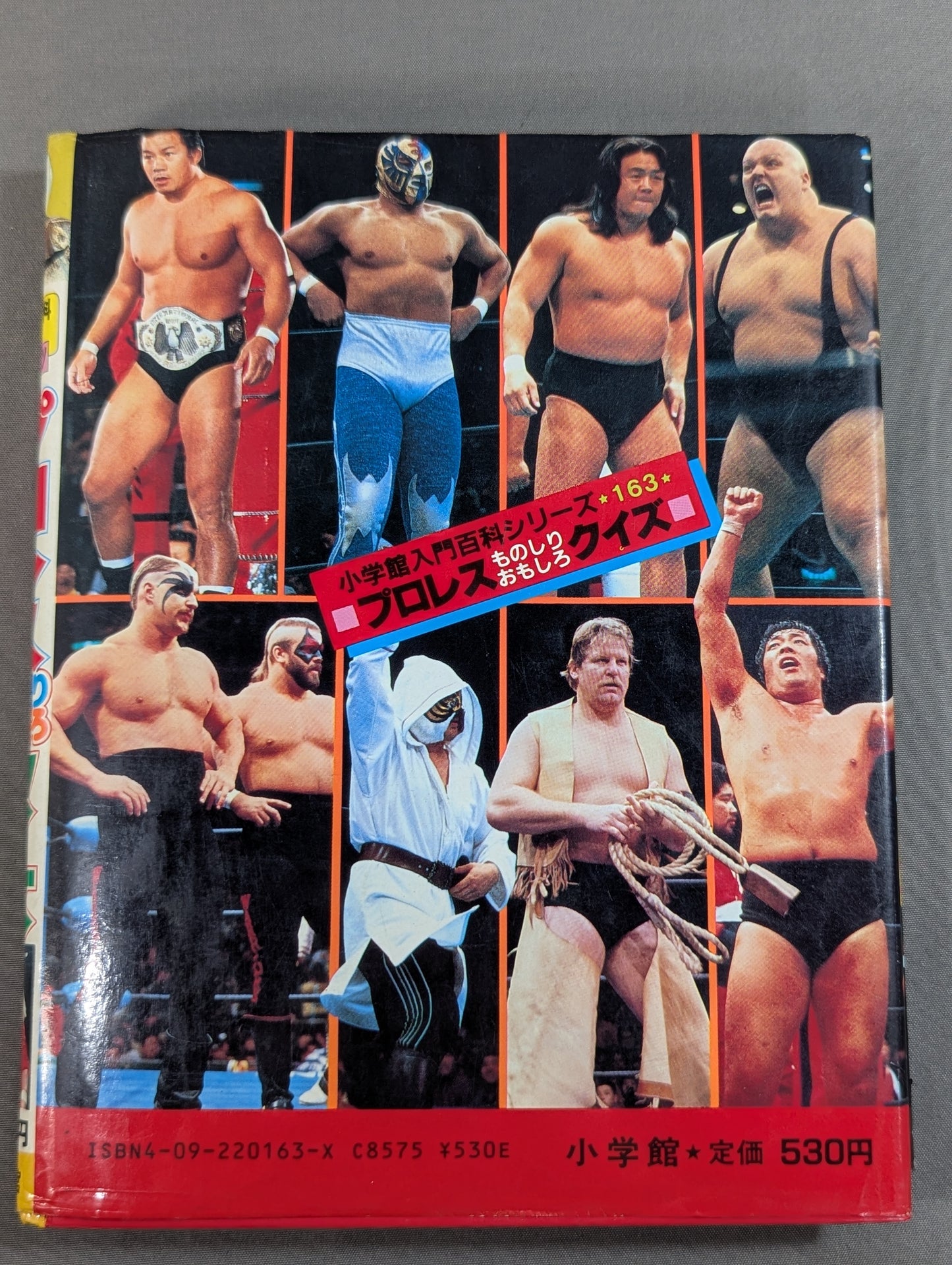 Pro Wrestling  Monoshiri Fun Quiz / Shogakukan Introductory Encyclopedia Series / 163