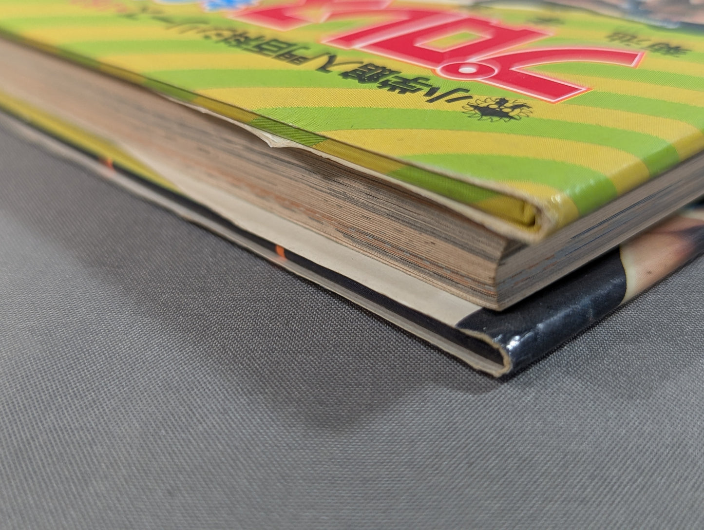 Pro Wrestling  Monoshiri Fun Quiz / Shogakukan Introductory Encyclopedia Series / 163