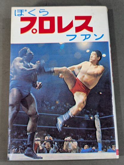 Our Pro Wrestling Fan Junior Introductory Encyclopedia (13)