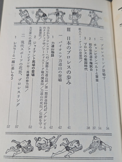 Our Pro Wrestling Fan Junior Introductory Encyclopedia (13)