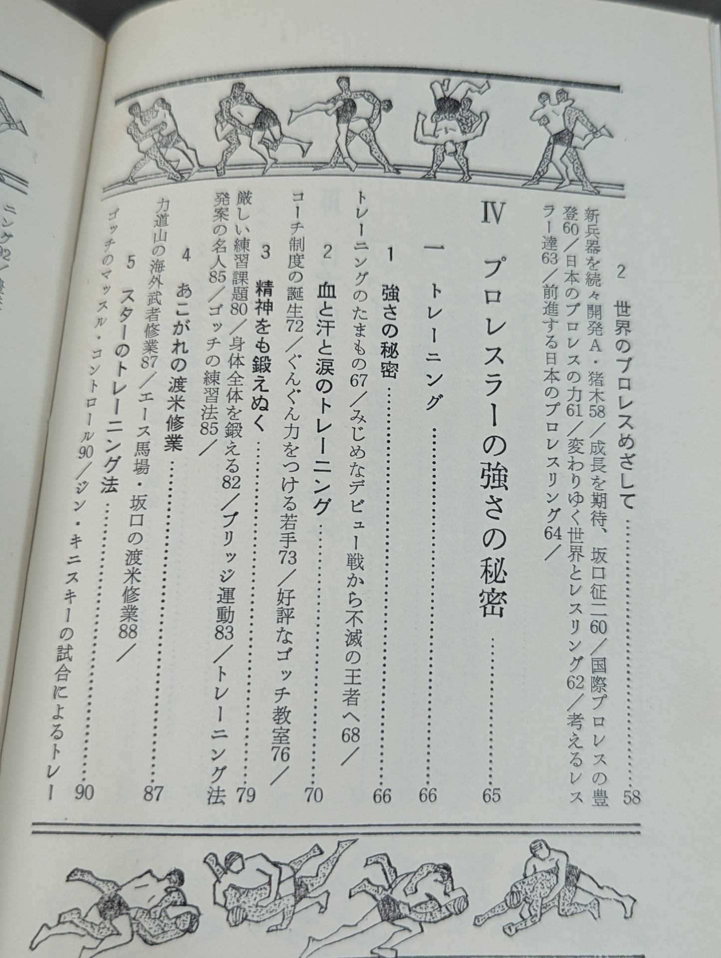Our Pro Wrestling Fan Junior Introductory Encyclopedia (13)