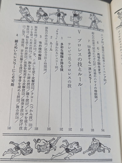Our Pro Wrestling Fan Junior Introductory Encyclopedia (13)