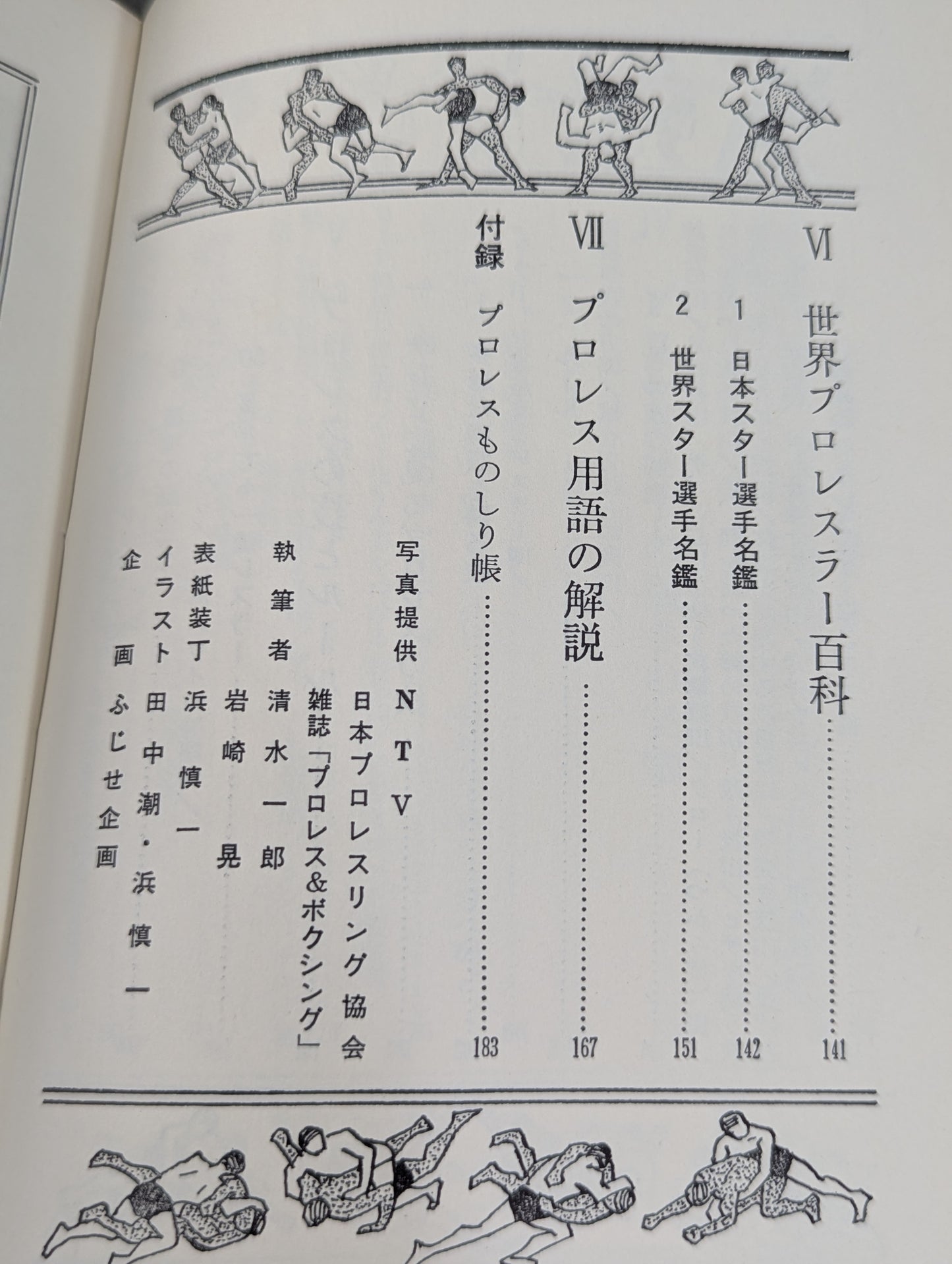 Our Pro Wrestling Fan Junior Introductory Encyclopedia (13)