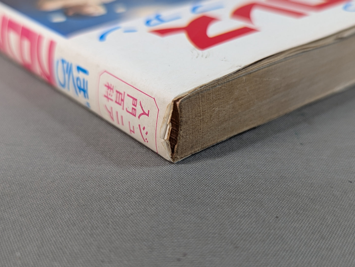 Our Pro Wrestling Fan Junior Introductory Encyclopedia (13)