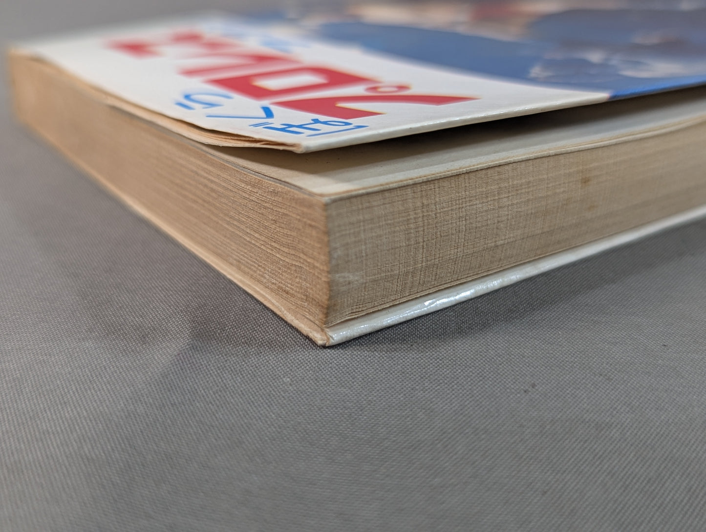 Our Pro Wrestling Fan Junior Introductory Encyclopedia (13)