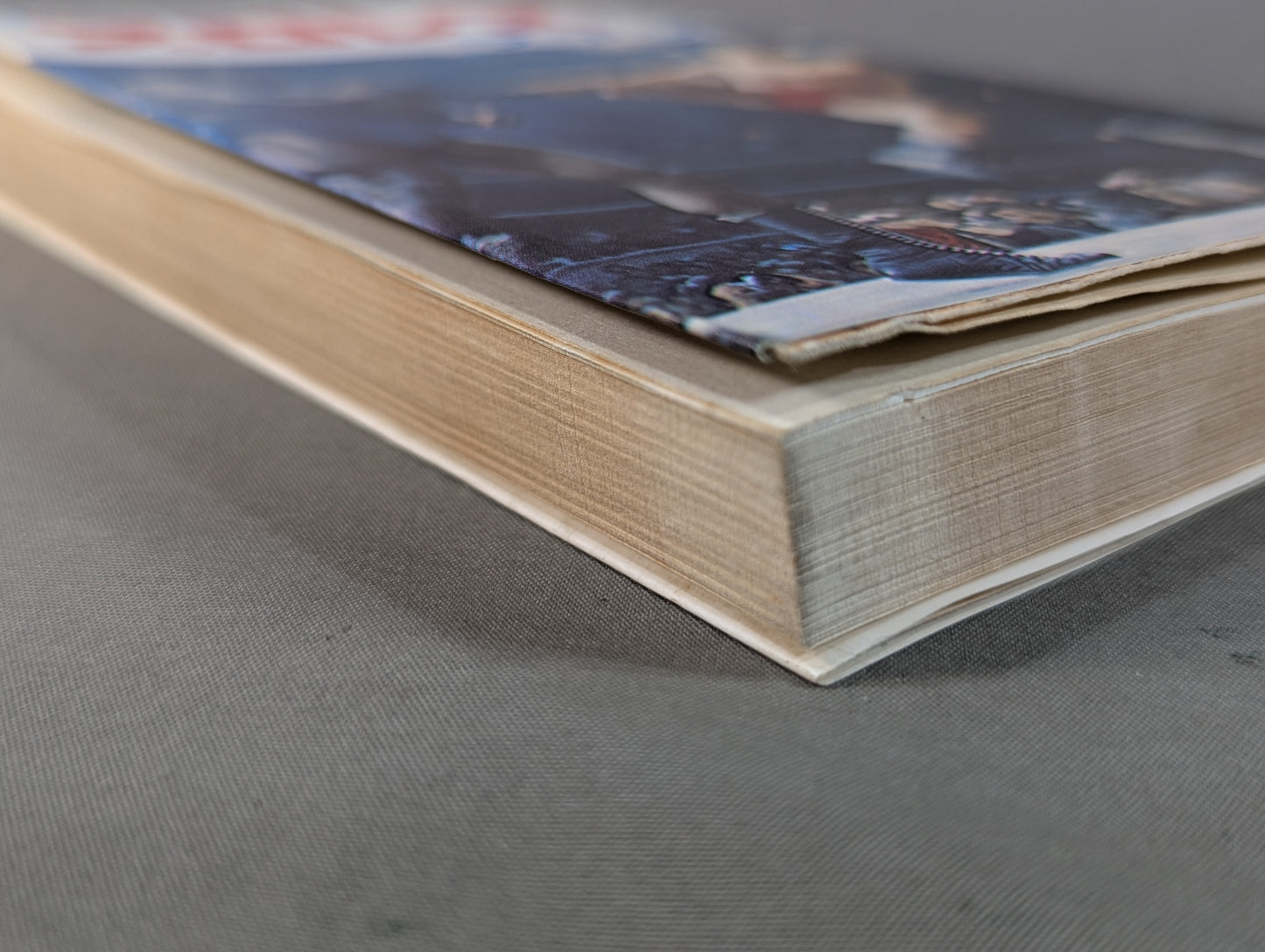 Our Pro Wrestling Fan Junior Introductory Encyclopedia (13)