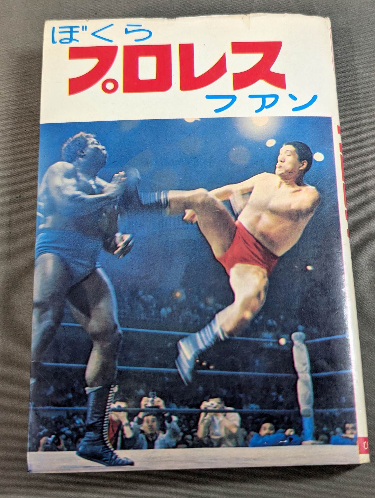 Our Pro Wrestling Fan Junior Introductory Encyclopedia (13)