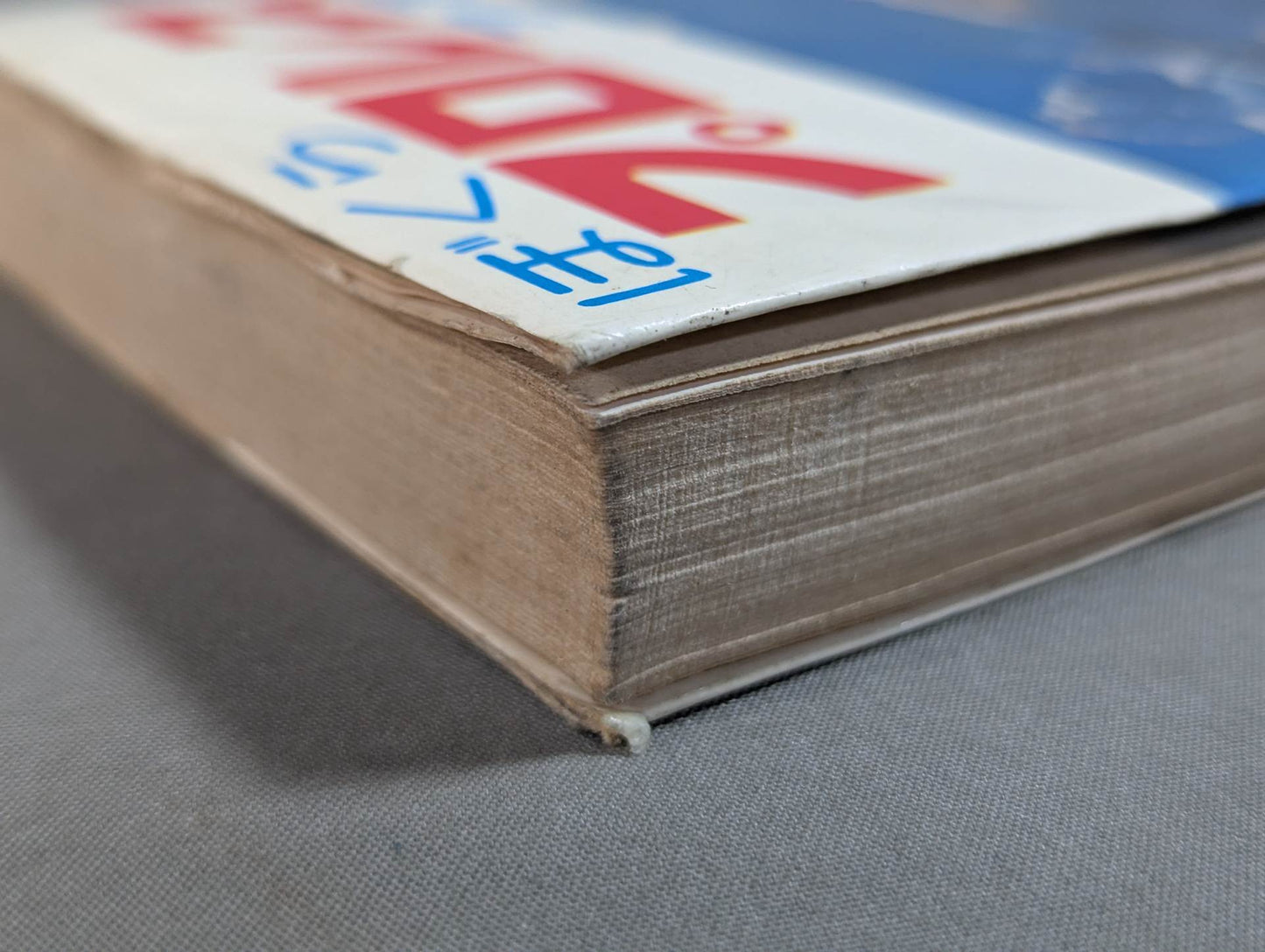 Our Pro Wrestling Fan Junior Introductory Encyclopedia (13)