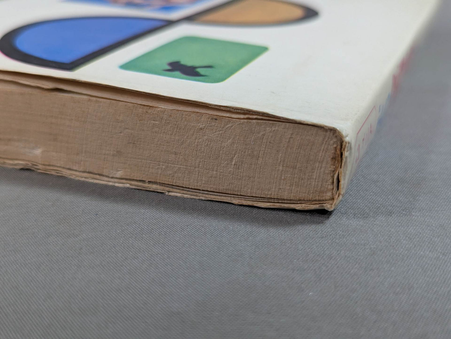 Our Pro Wrestling Fan Junior Introductory Encyclopedia (13)