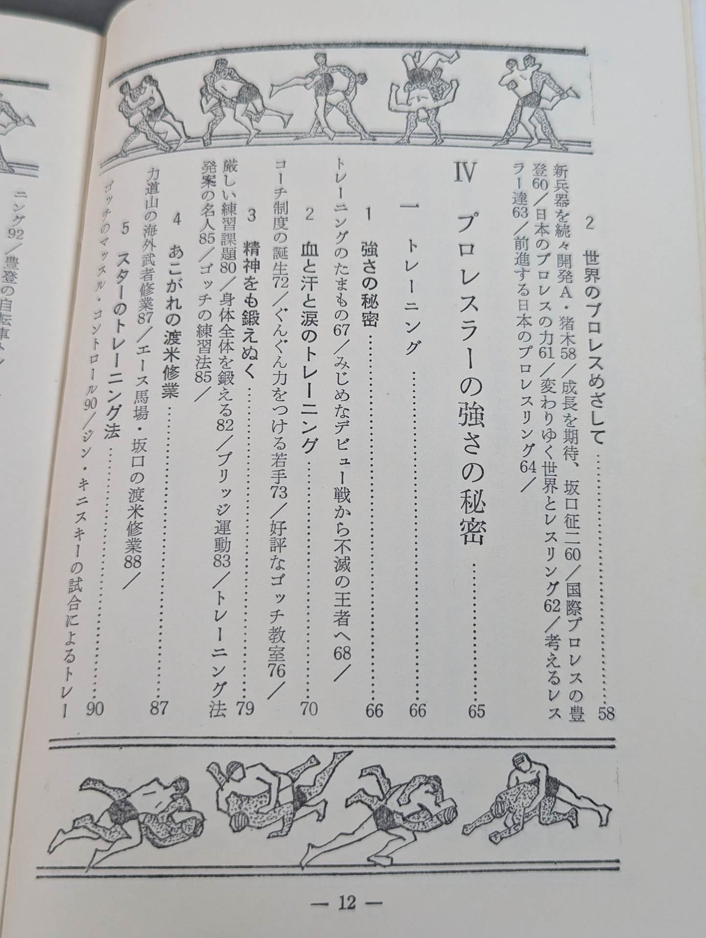 Our Pro Wrestling Fan Junior Introductory Encyclopedia (13)