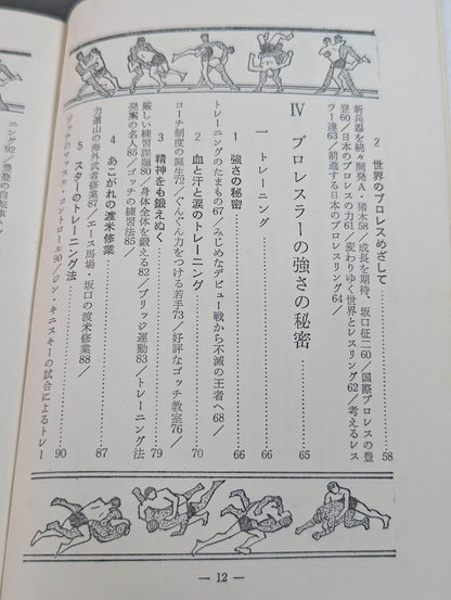 Our Pro Wrestling Fan Junior Introductory Encyclopedia (13)