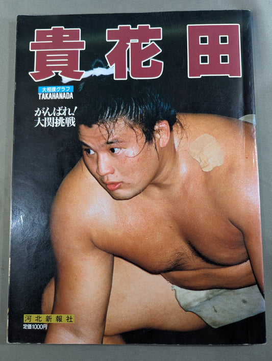 Sumo Graph Kihanada Hang in There! Ozeki Challenge