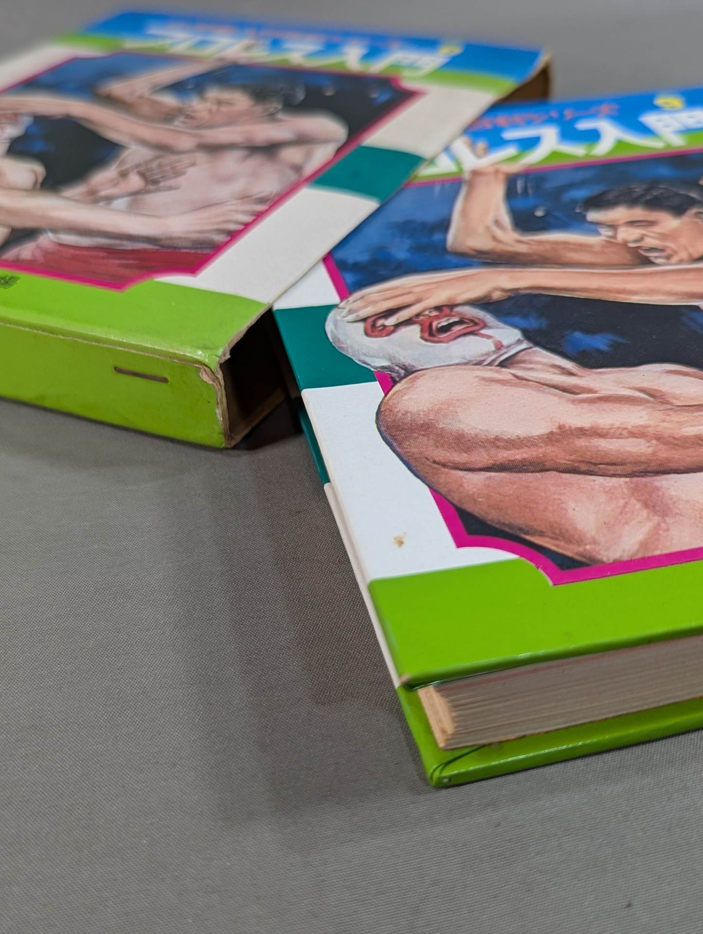 ★ First Edition ★ Introduction to Pro Wrestling Shogakukan Introductory Encyclopedia Series (9) (Cover: Illustration)