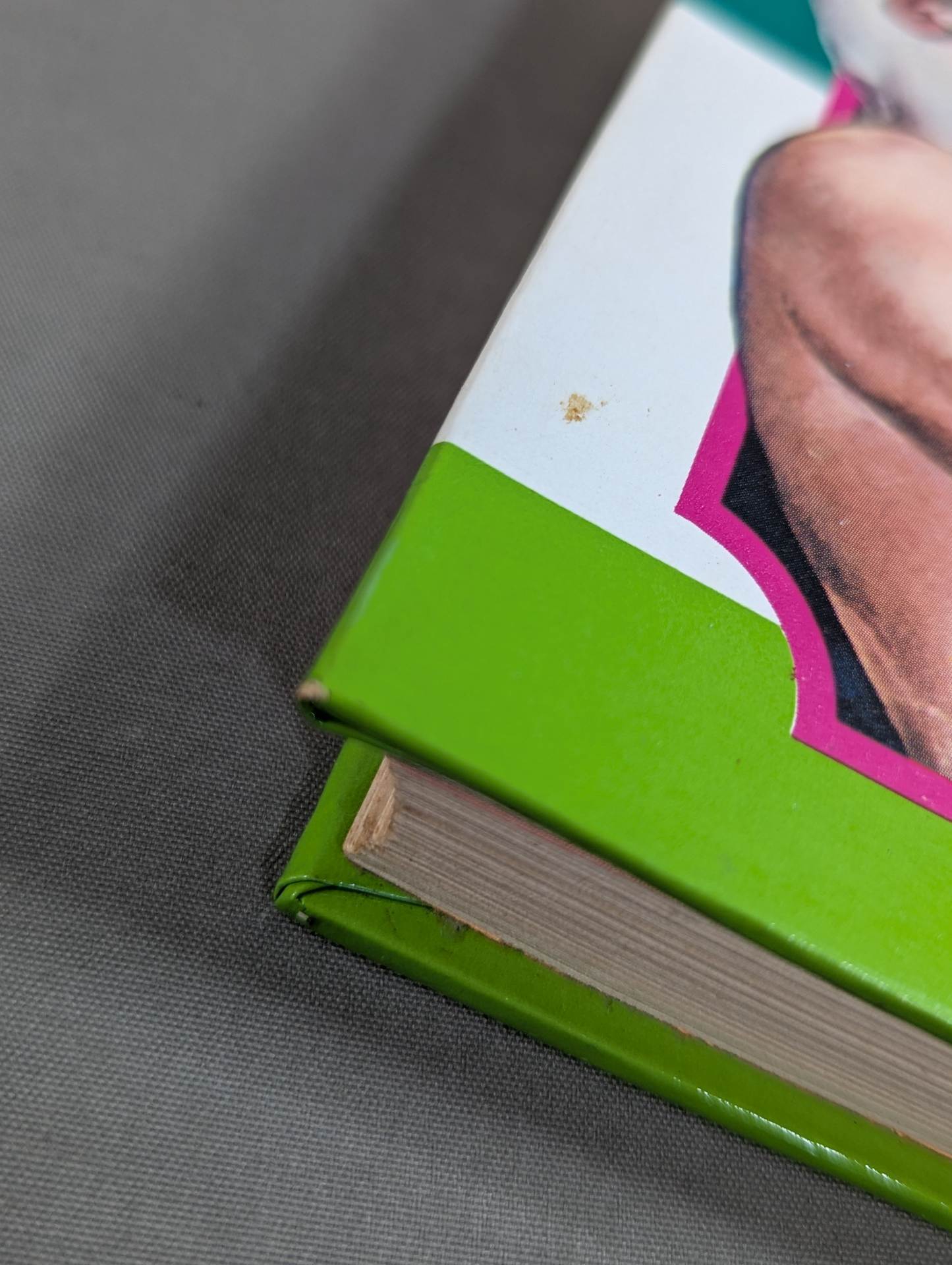 ★ First Edition ★ Introduction to Pro Wrestling Shogakukan Introductory Encyclopedia Series (9) (Cover: Illustration)