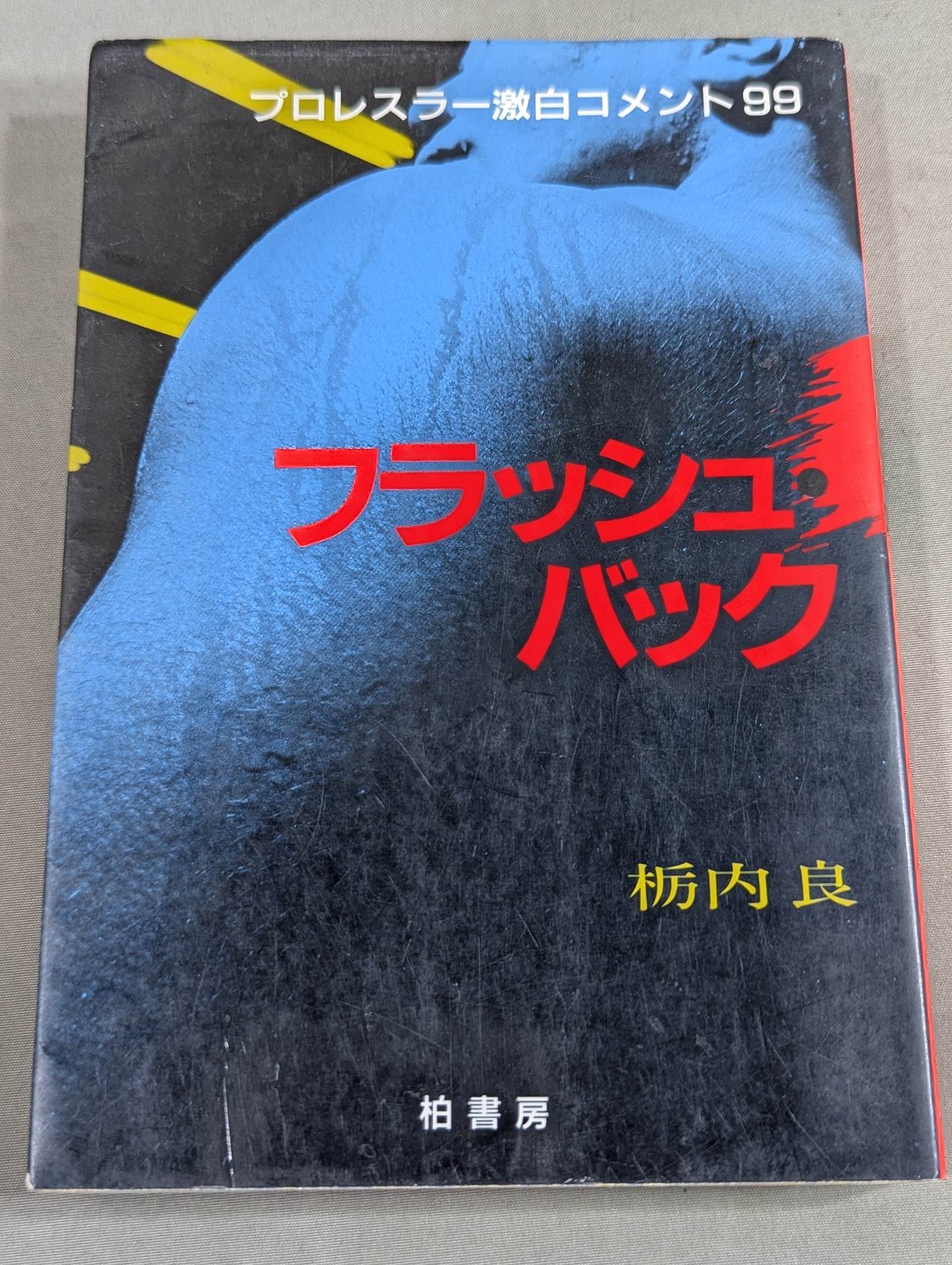 Flashback Pro Wrestling  99