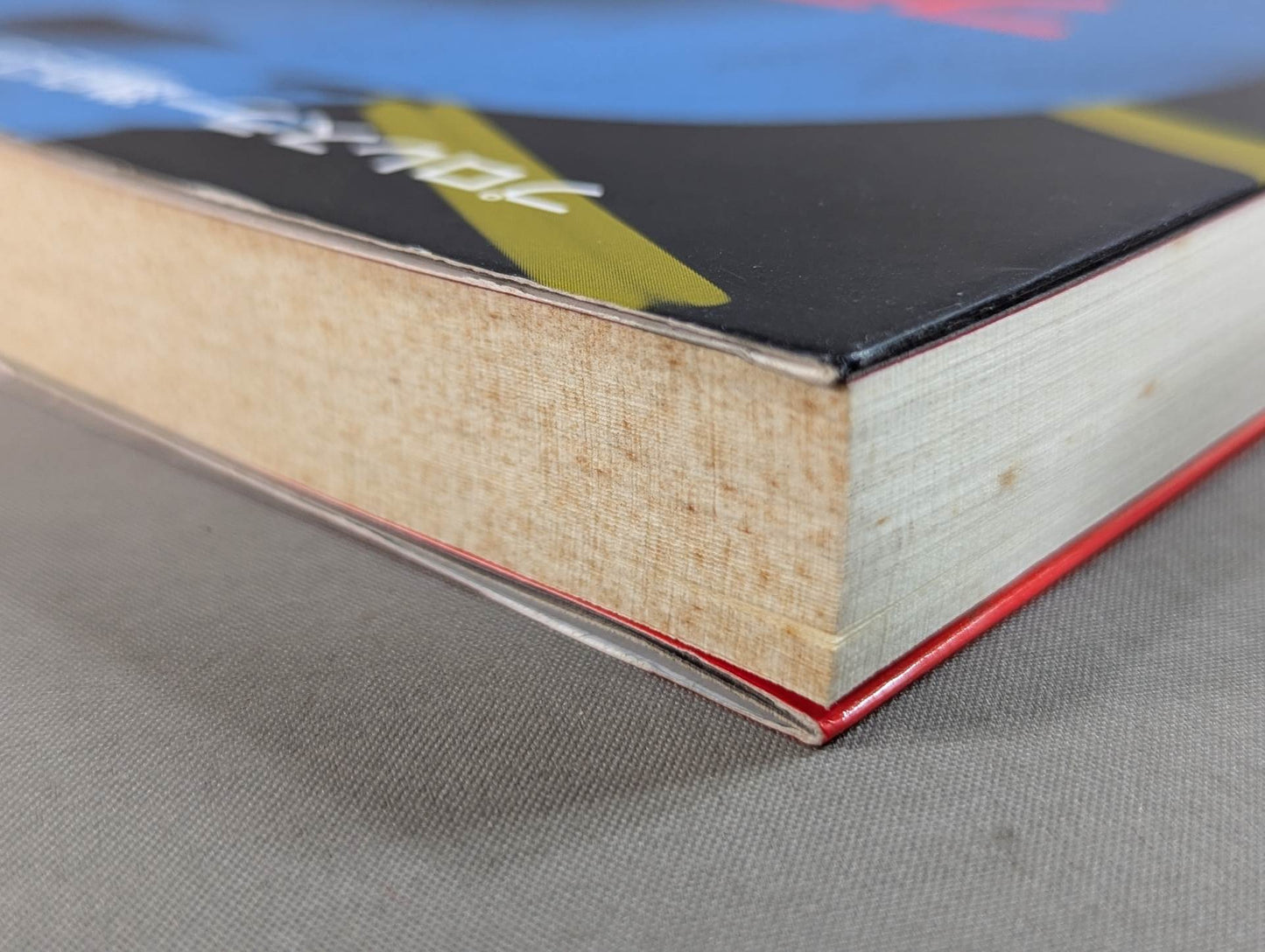 フラッシュ・バック プロレス激白集99