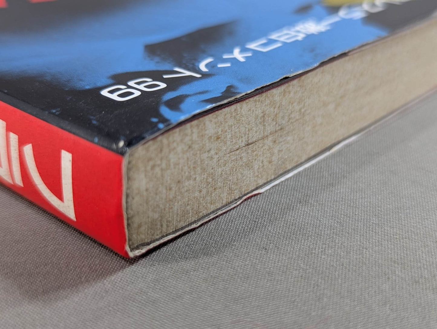 フラッシュ・バック プロレス激白集99