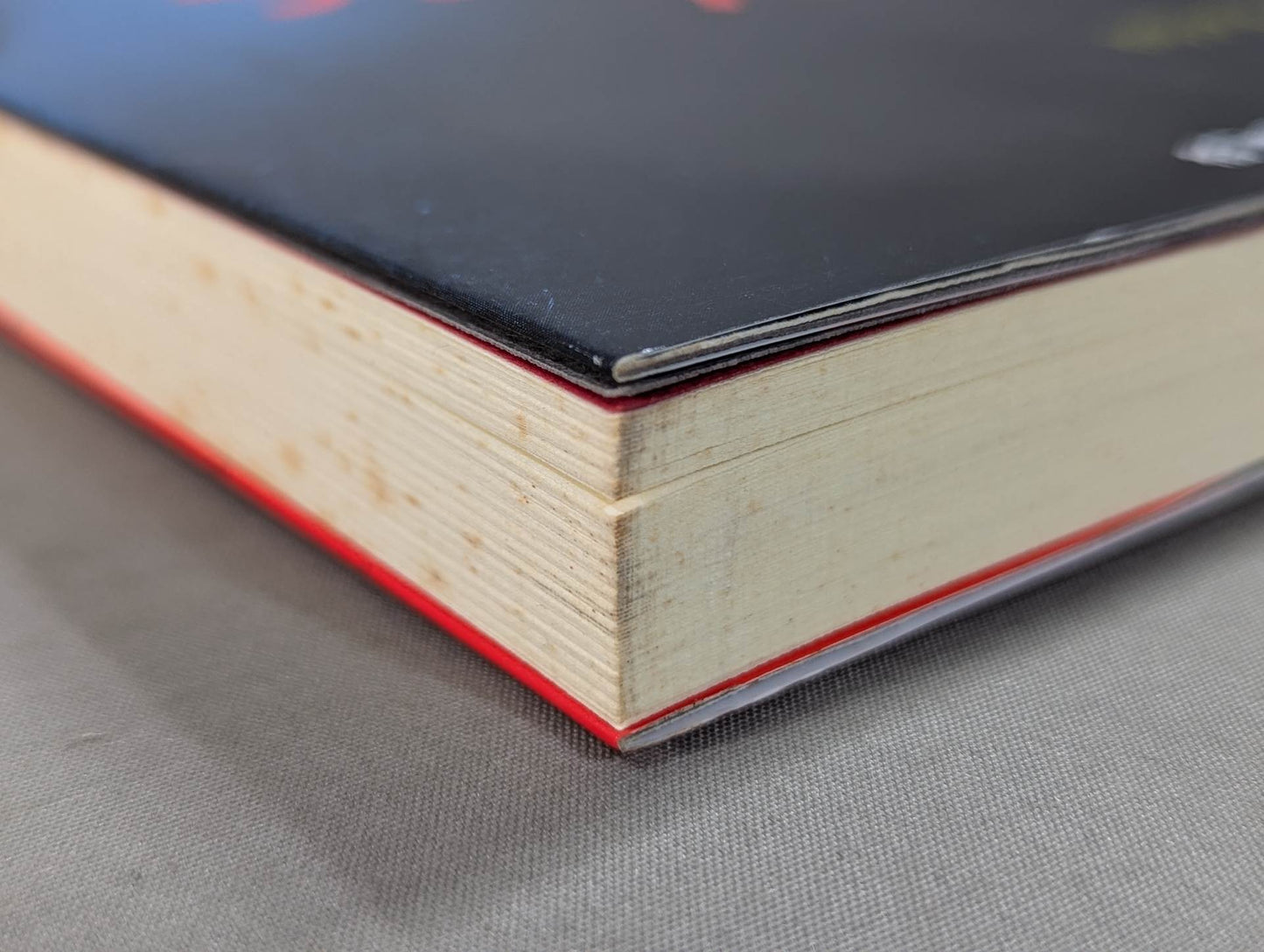 フラッシュ・バック プロレス激白集99