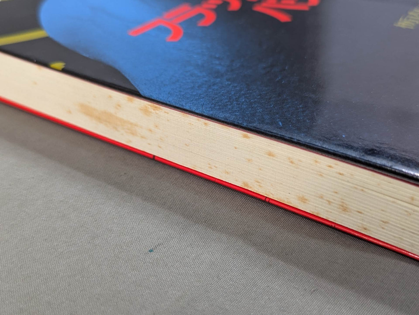 フラッシュ・バック プロレス激白集99