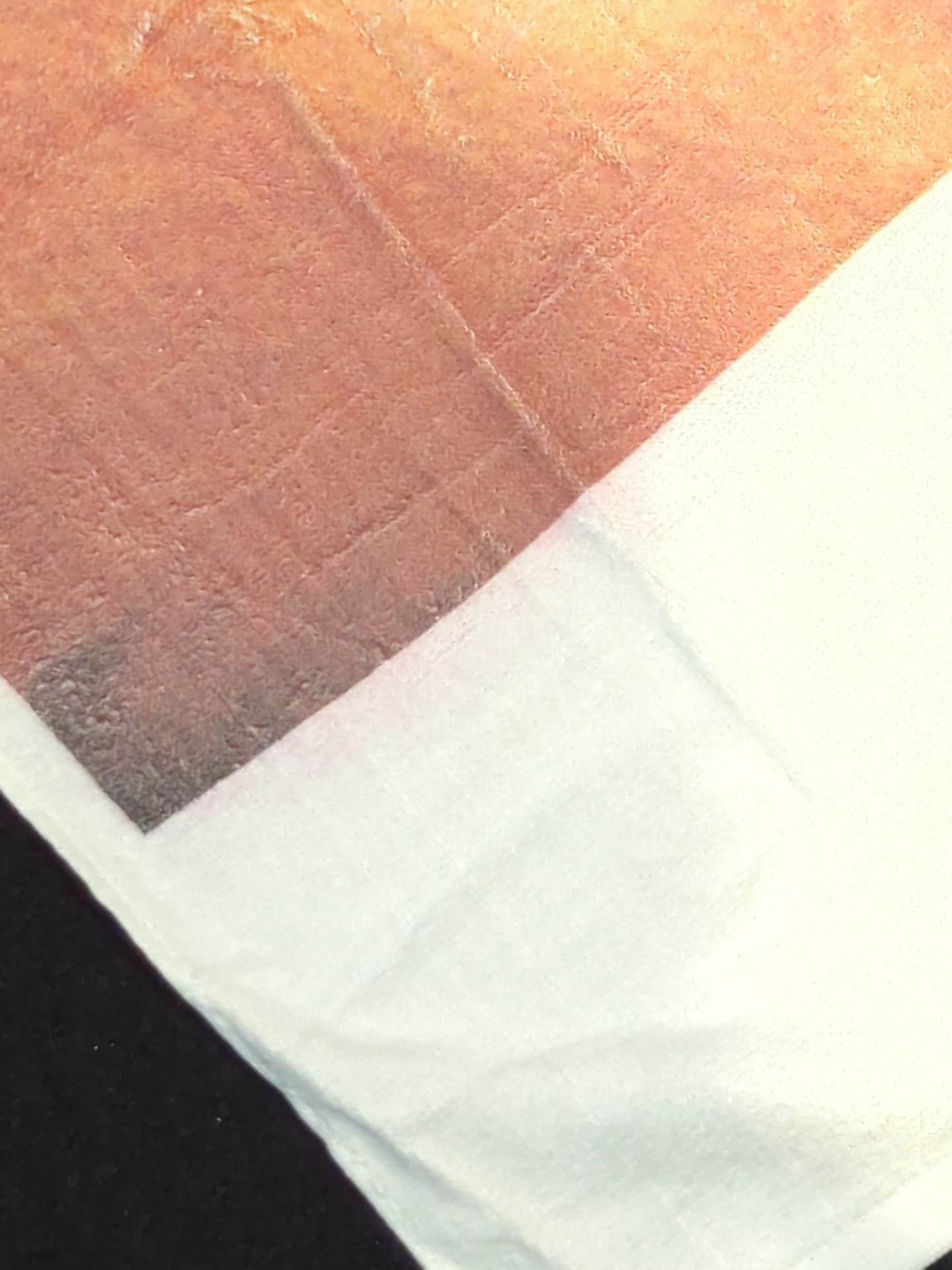 Muto Keiji  Towel Pastry