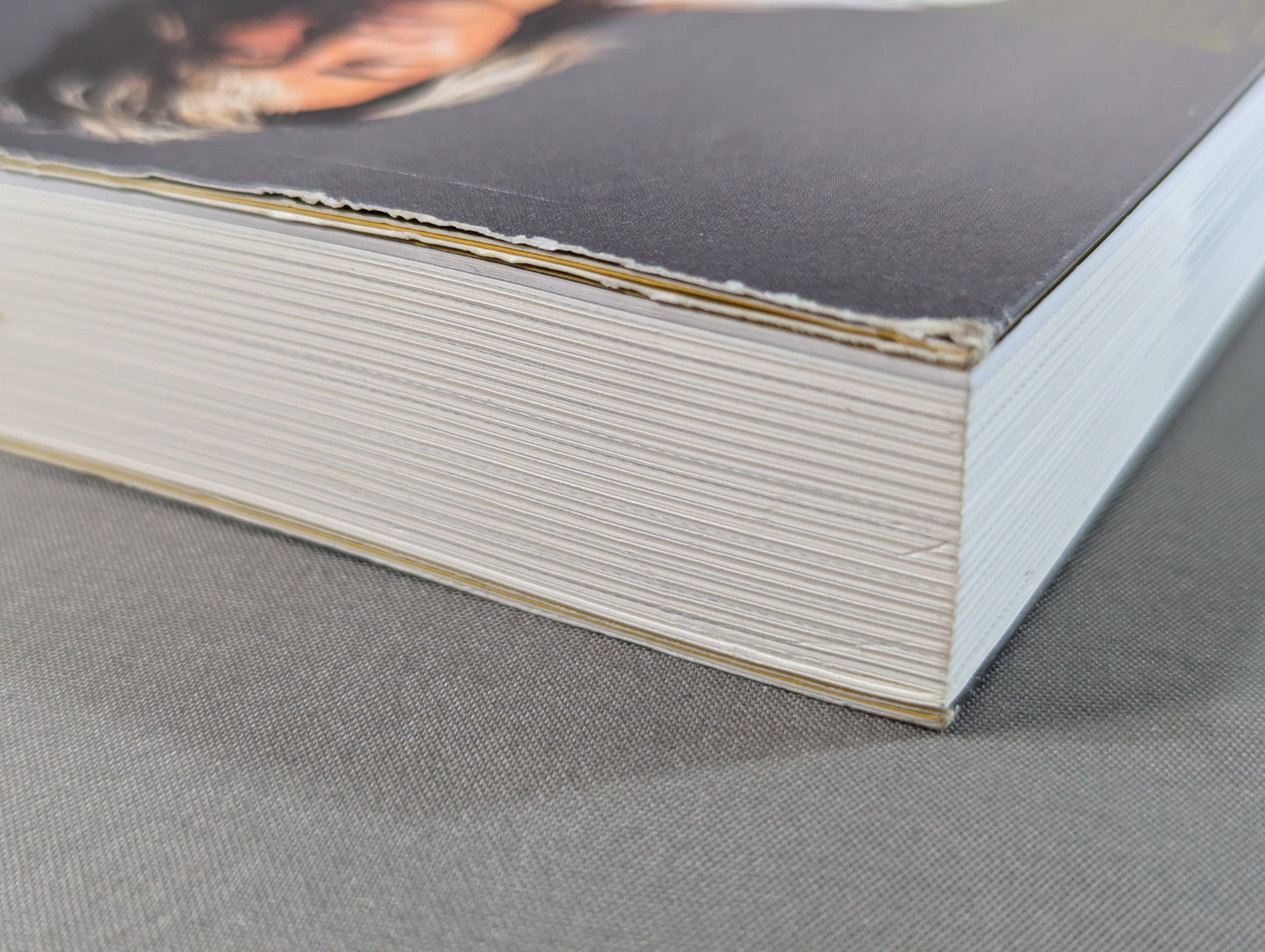 HIGH LIFE Hiroshi Tanahashi  Autobiography I.