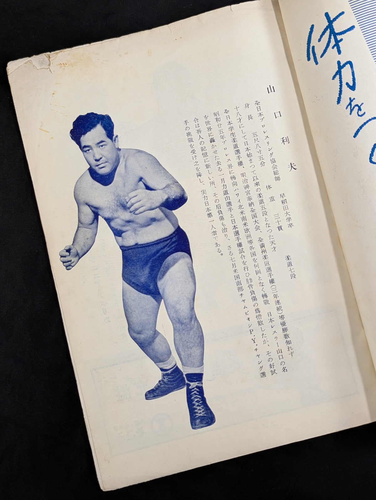 All Japan Pro Wrestling Association Manaslu Climbing Fund Fundraising Pro Wrestling International Major Tournament