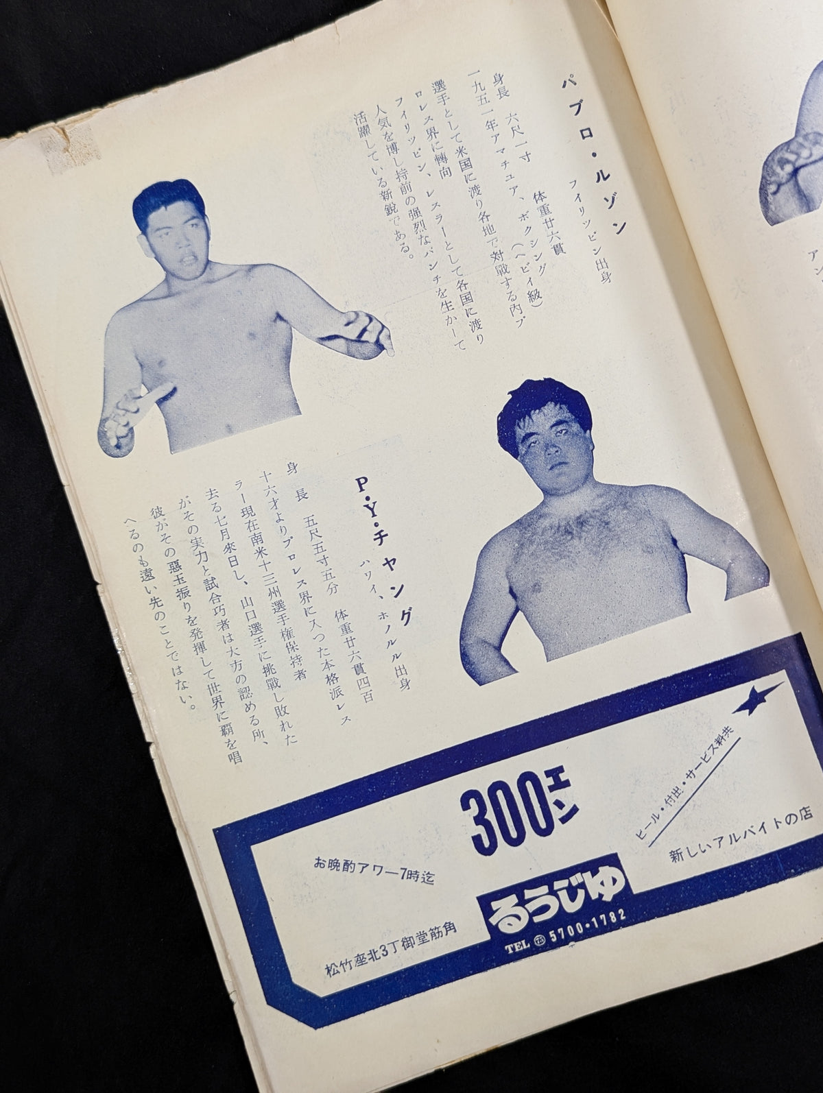 All Japan Pro Wrestling Association Manaslu Climbing Fund Fundraising Pro Wrestling International Major Tournament