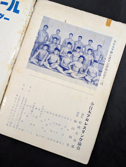 All Japan Pro Wrestling Association Manaslu Climbing Fund Fundraising Pro Wrestling International Major Tournament