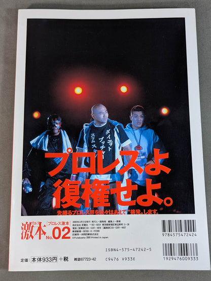 Pro Wrestling  No.2