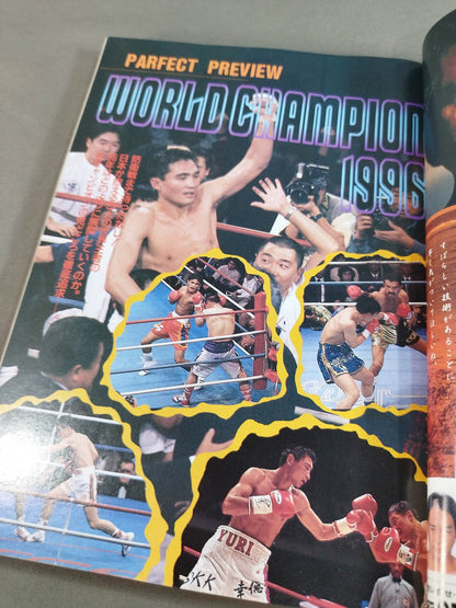96 Perfect Guide to Watching Boxing