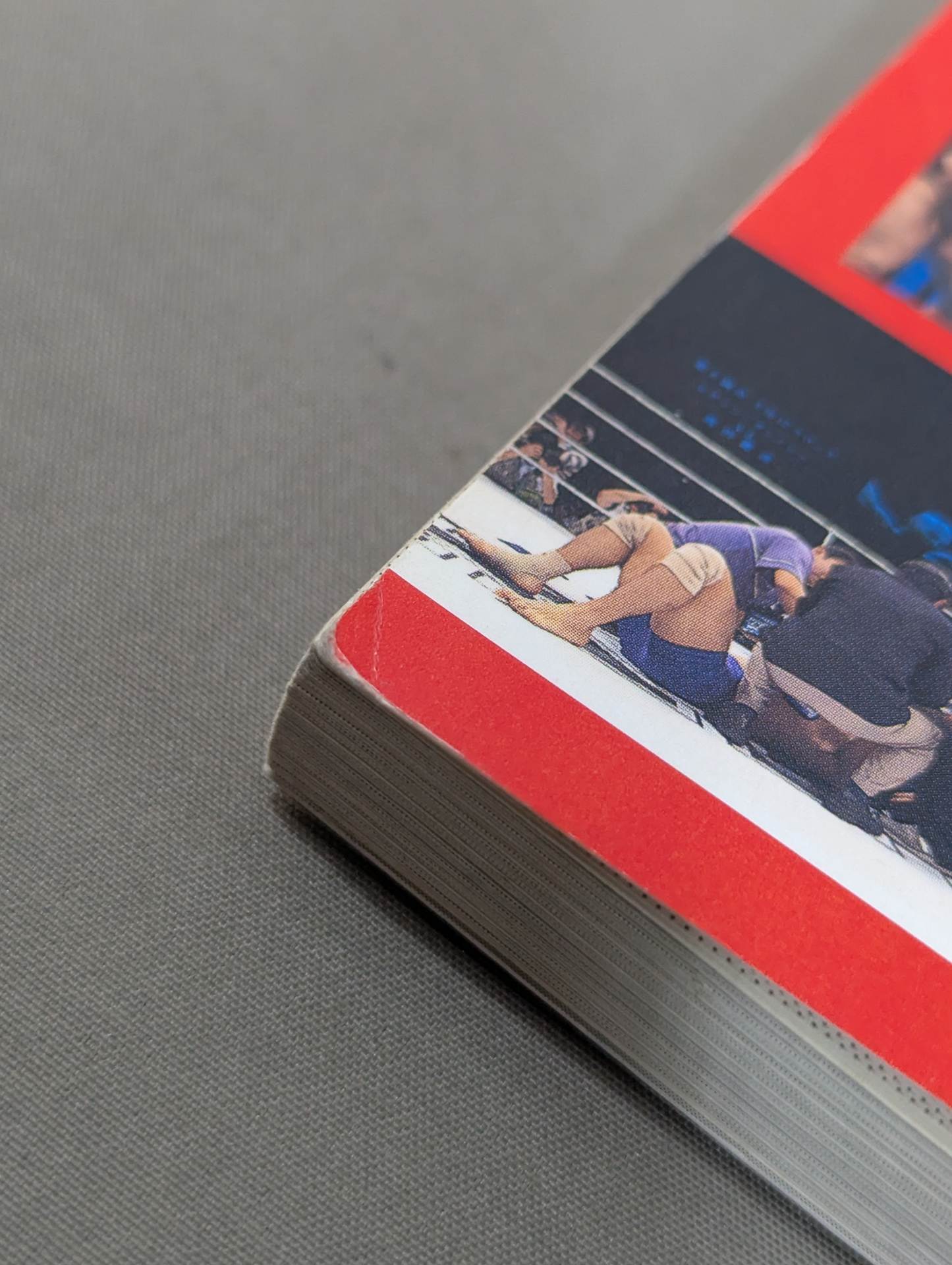 It gave me the courage to live my life... Pro Wrestling