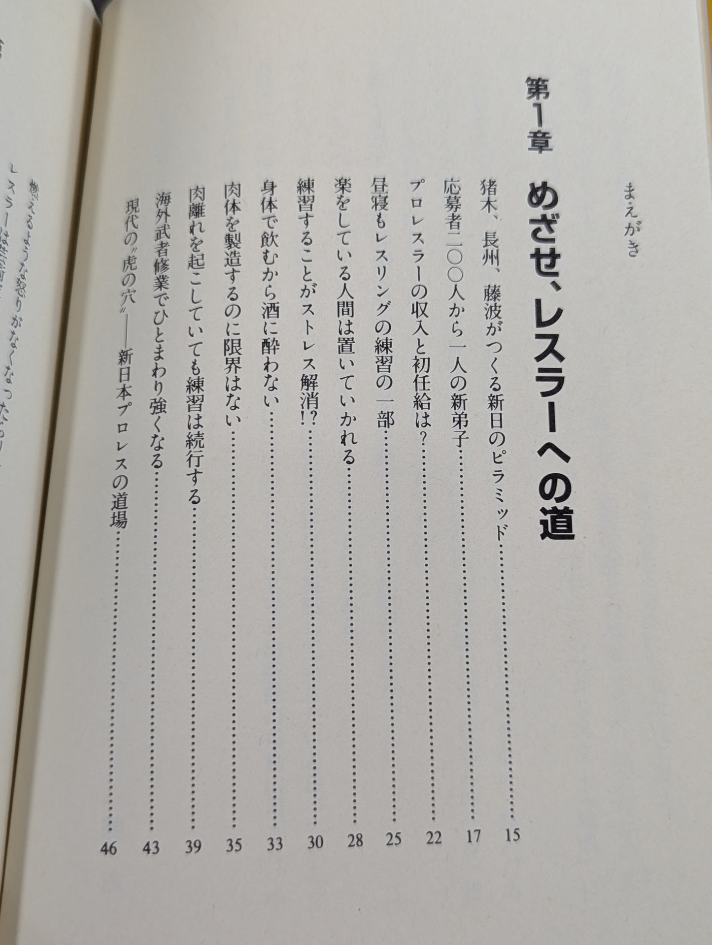 You Don't Know Pro Wrestling  Martial Arts Philosophy Manifesto