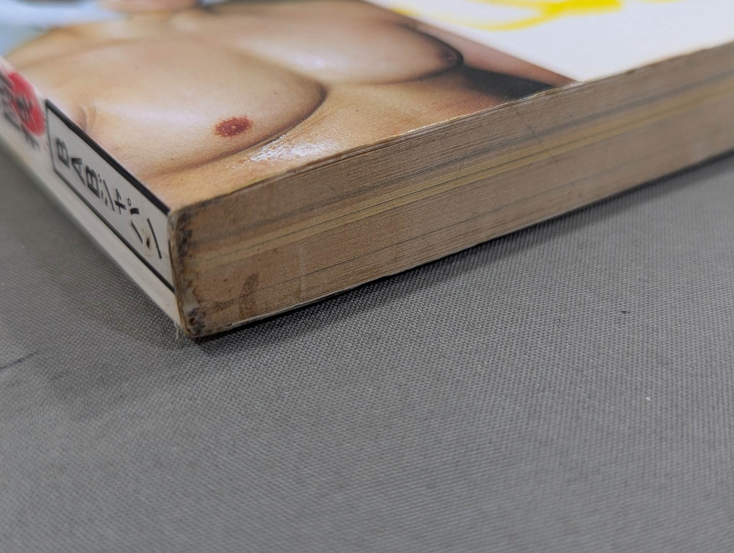 Pro Wrestling  Master Vol.6 Flames!! Pro Wrestling  vs Martial Arts