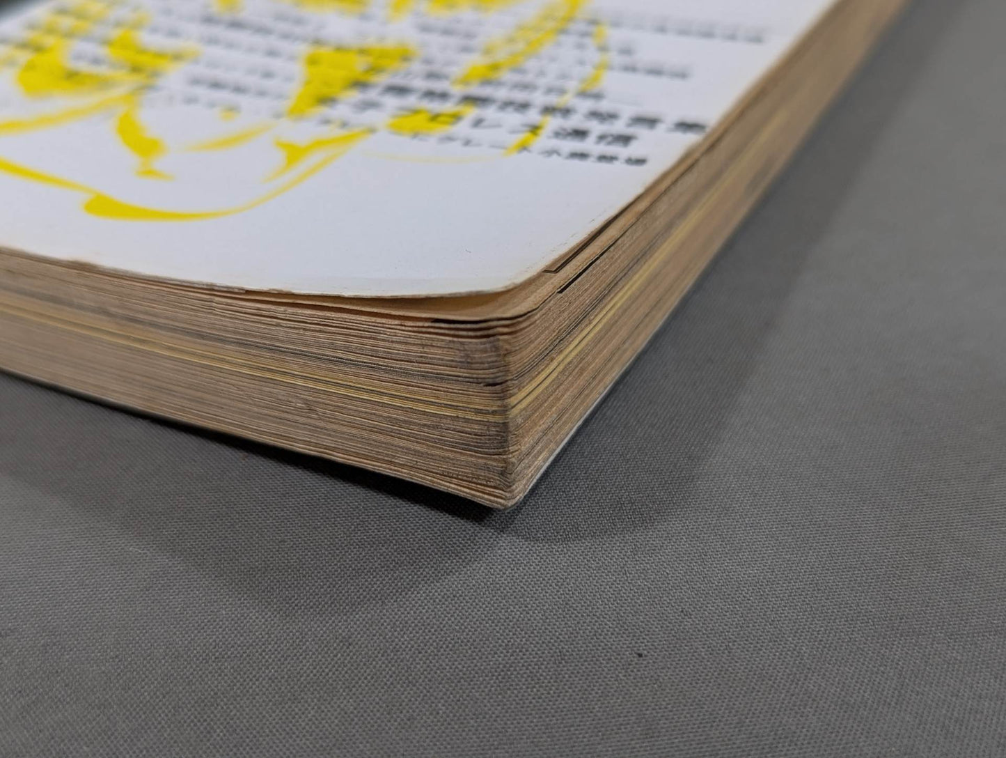 Pro Wrestling  Master Vol.6 Flames!! Pro Wrestling  vs Martial Arts