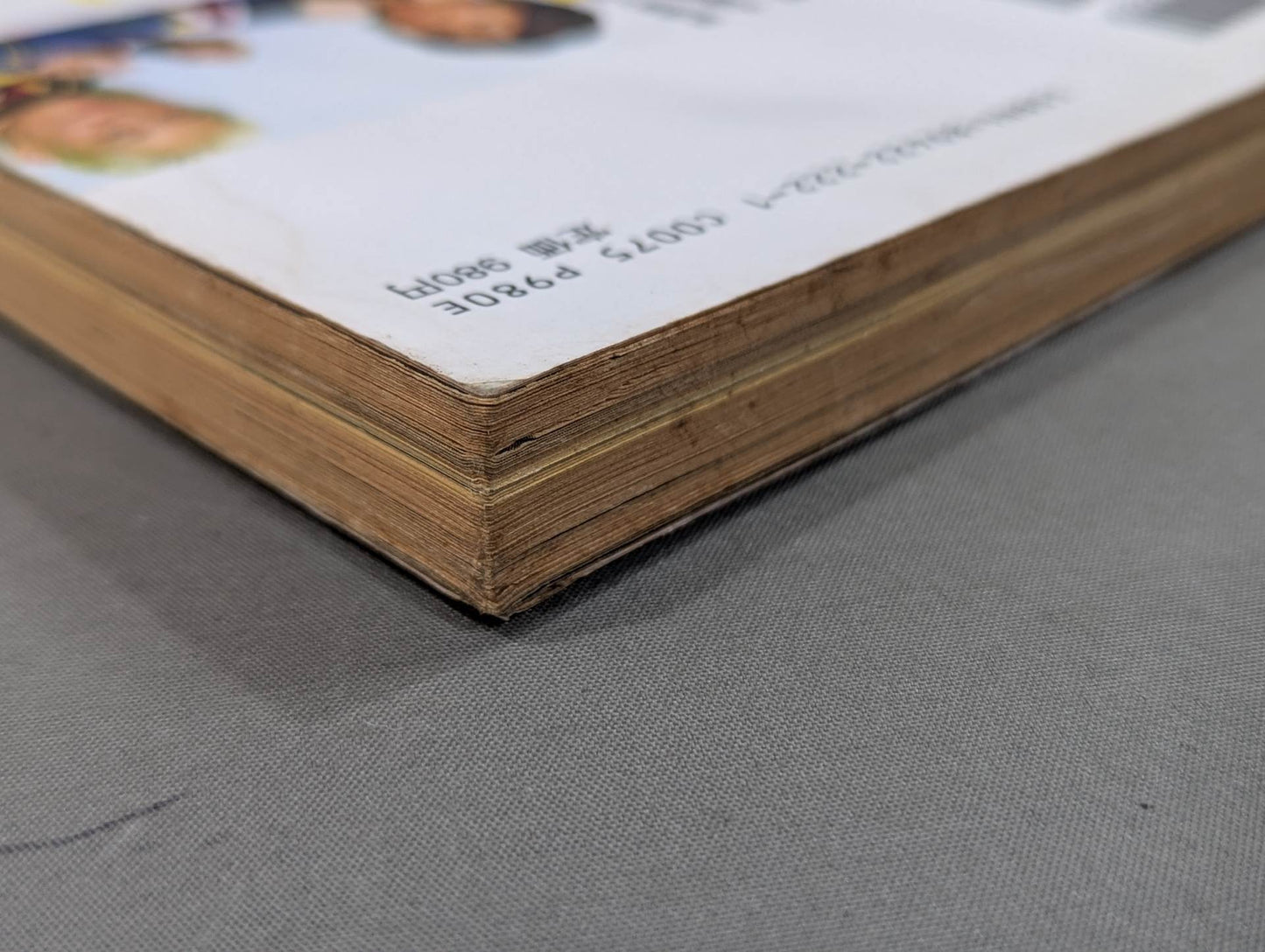 Pro Wrestling  Master Vol.6 Flames!! Pro Wrestling  vs Martial Arts