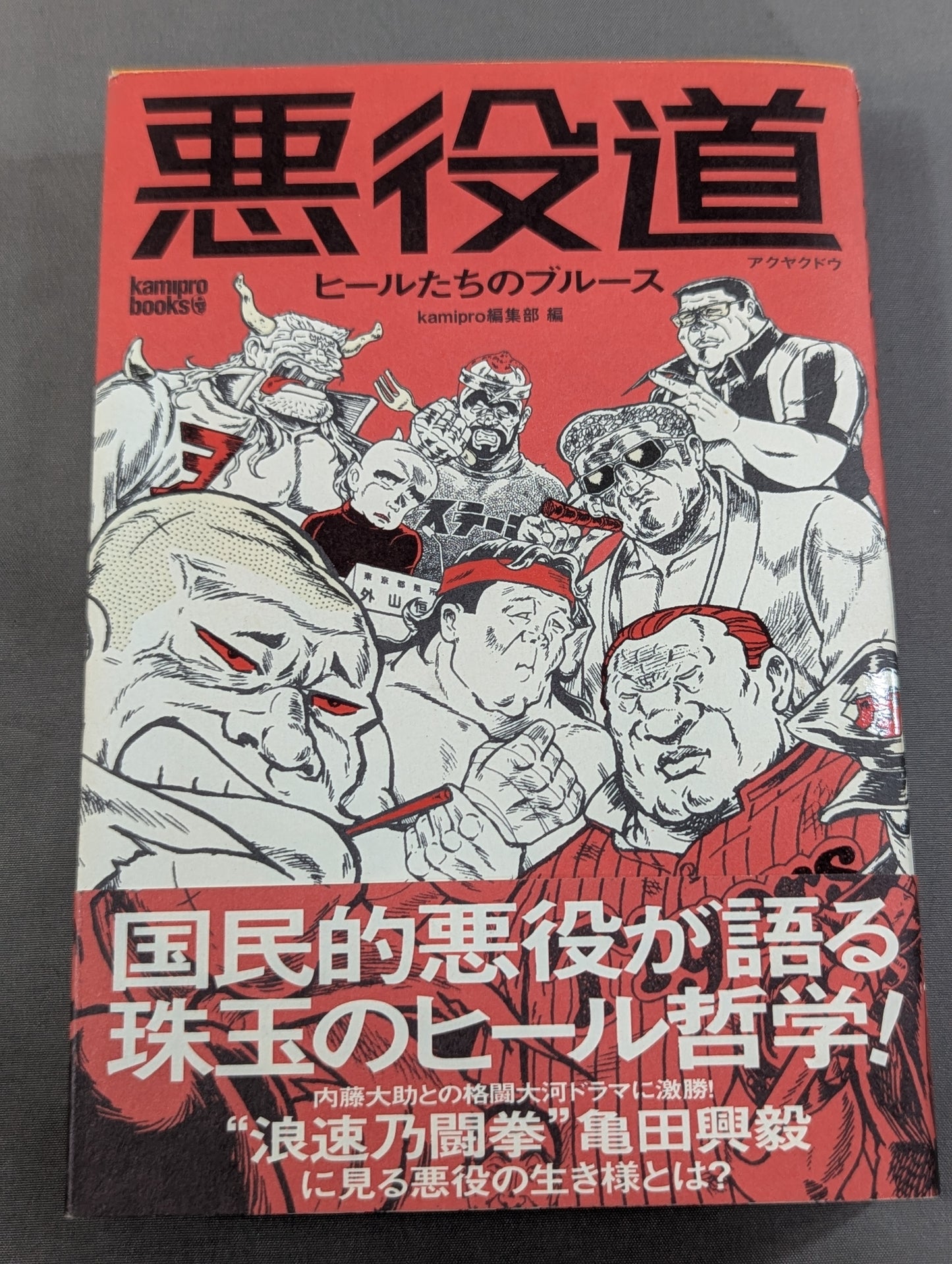 悪役道 ヒールたちのブルース