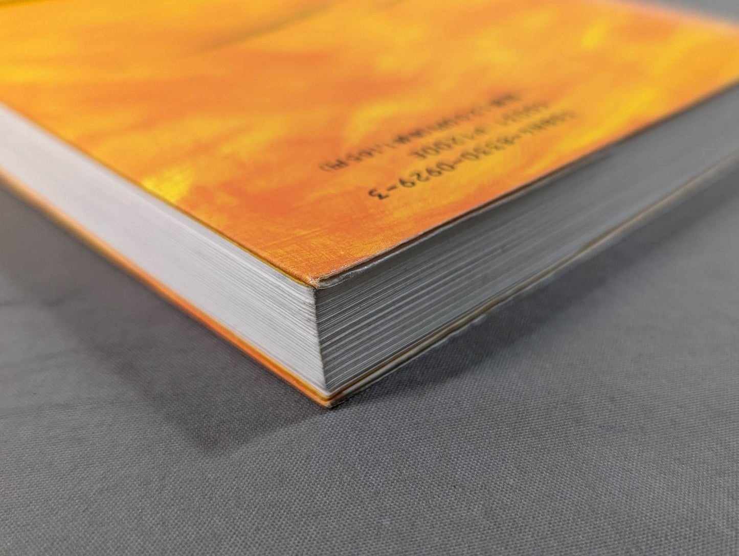 感じたら走りだせ 僕の政治家改革宣言