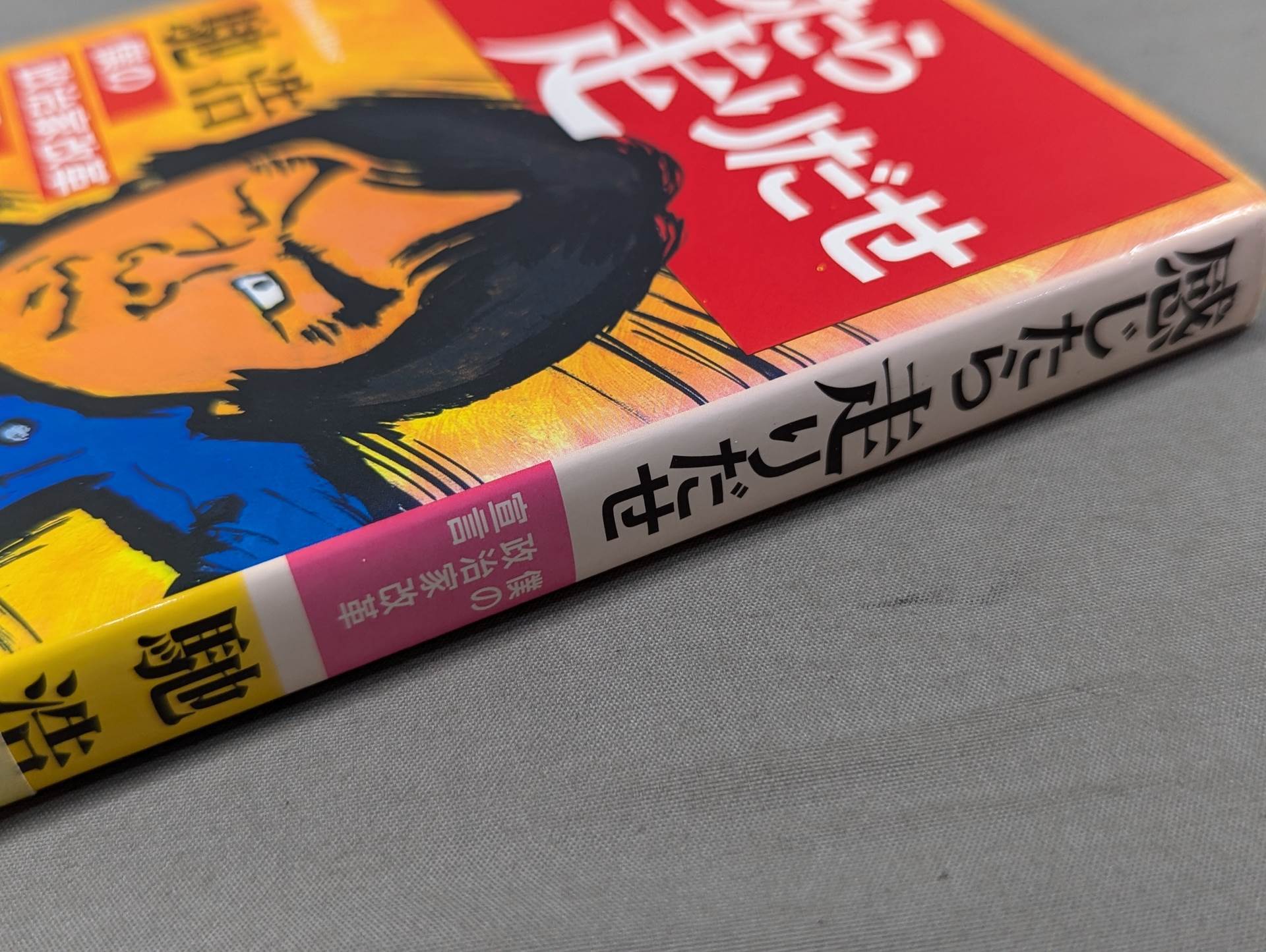 感じたら走りだせ 僕の政治家改革宣言 – 闘道館