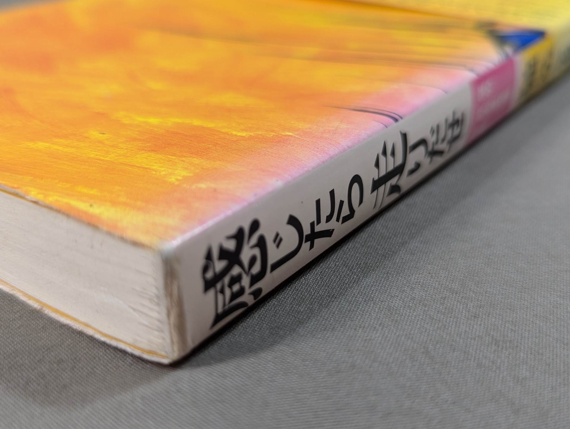 感じたら走りだせ 僕の政治家改革宣言 – 闘道館